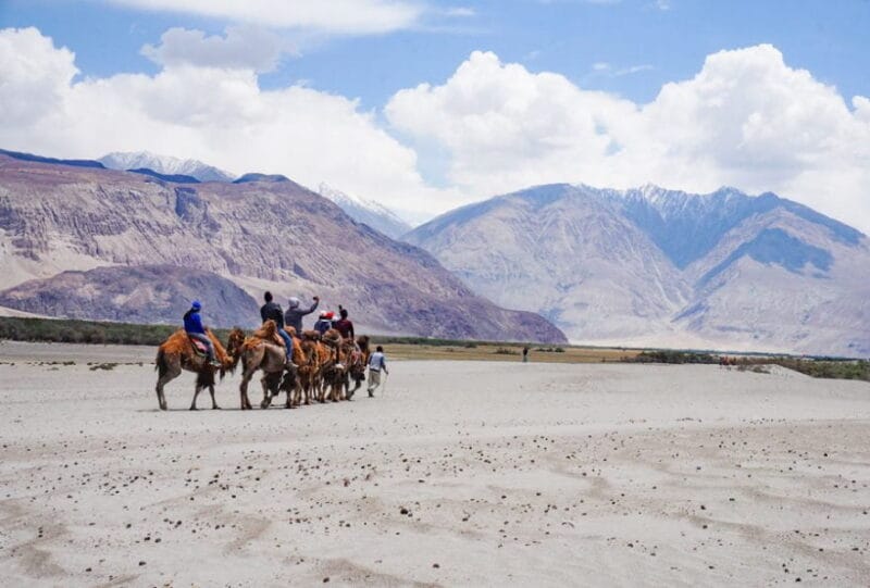 leh ladakh