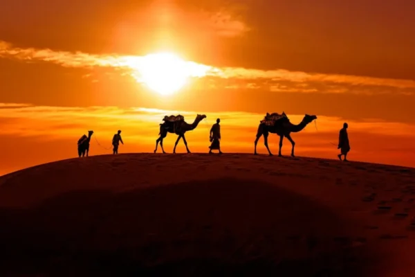 Rajasthan Tour Packages- Discover the Magic of India’s Royal State