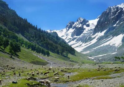 Complete Kashmir Travel Guide With Itinerary for Indian Travelers