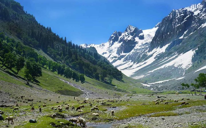Sonmarg valley