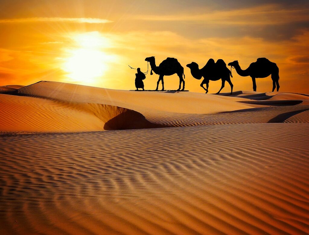 Best Time to Visit Rajasthan – Month-by-Month Breakdown By Root Indians Travel