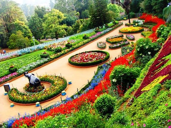 Botanical garden ooty