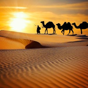 Best Time to Visit Rajasthan – Month-by-Month Breakdown By Root Indians Travel